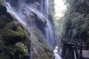 摩顶崖